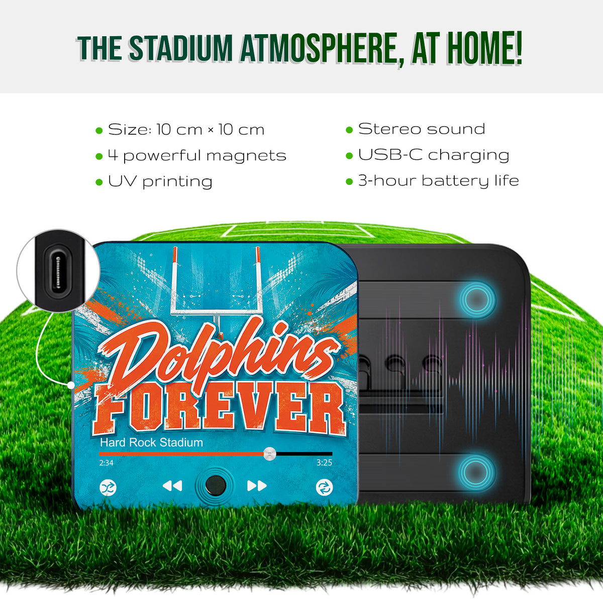 Miami Dolphins Musical Magnet - Dolphins Forever