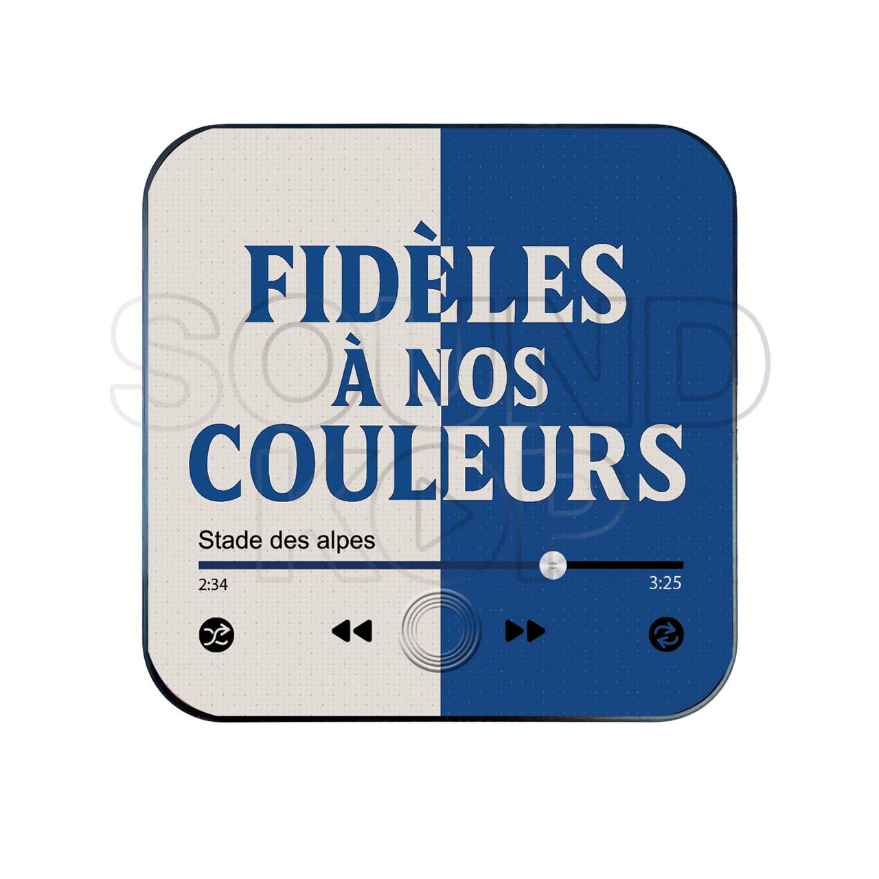 Imán musical Grenoble Foot 38