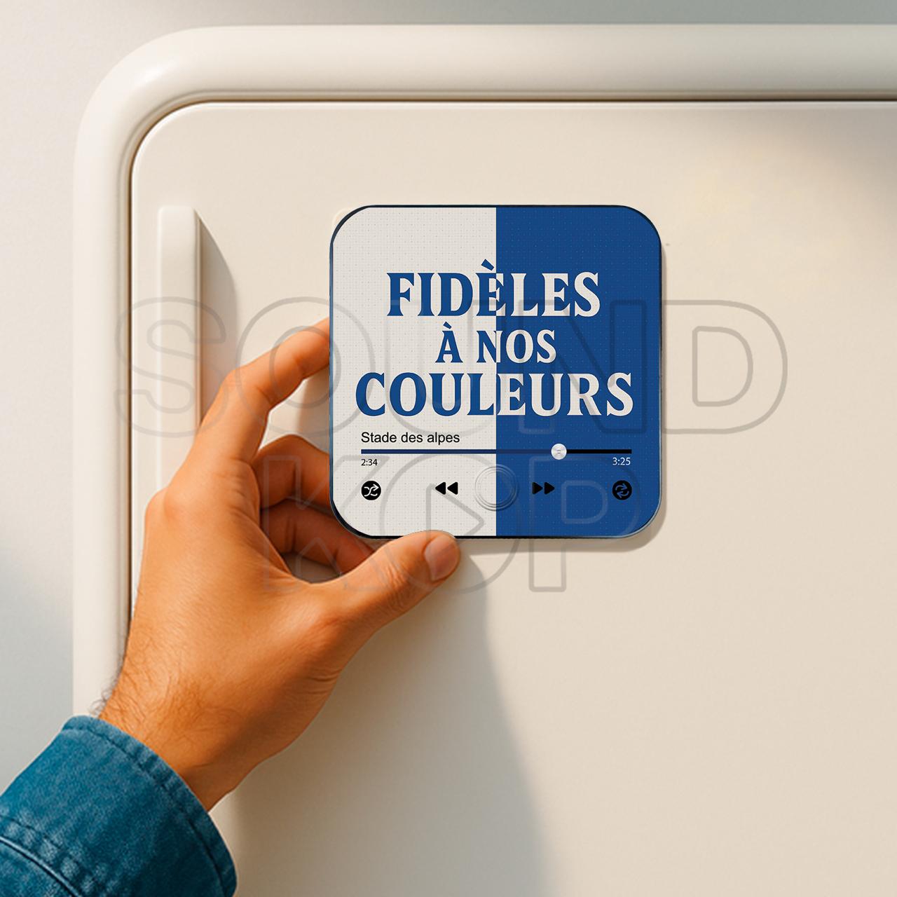 Imán musical Grenoble Foot 38