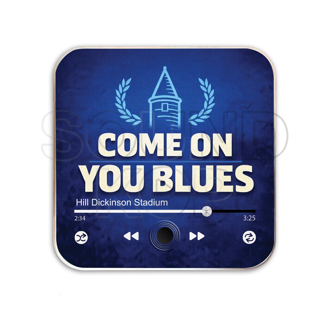 Magnet musical Everton