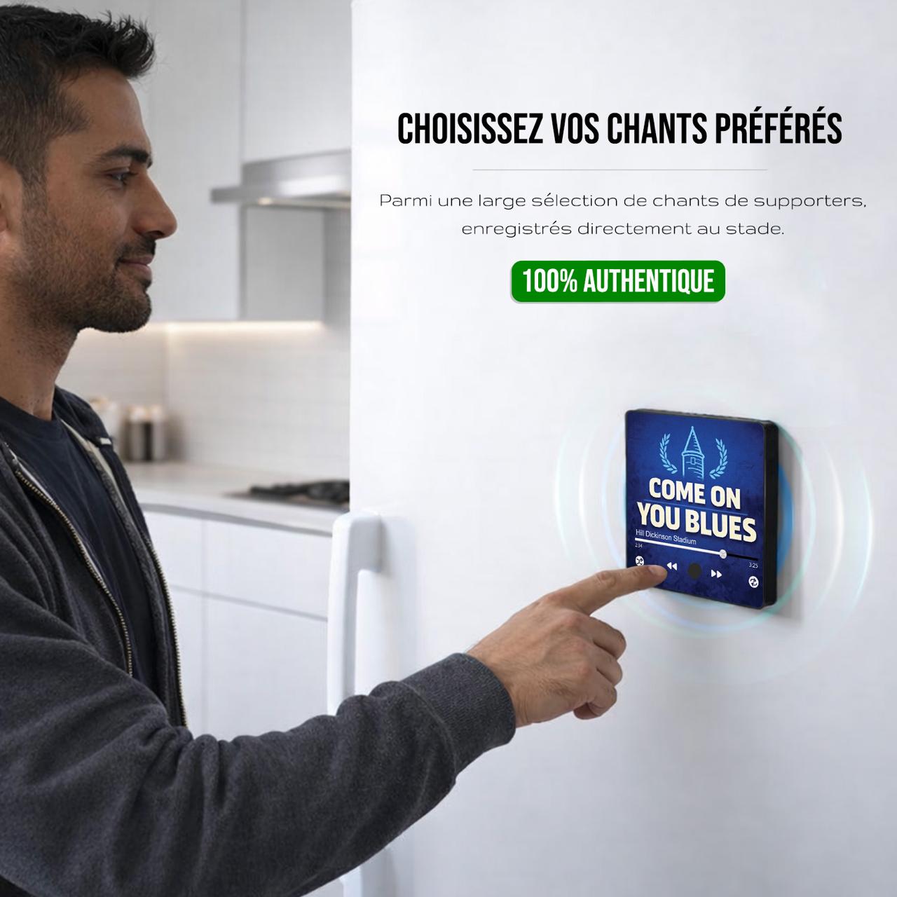 Magnet musical Everton