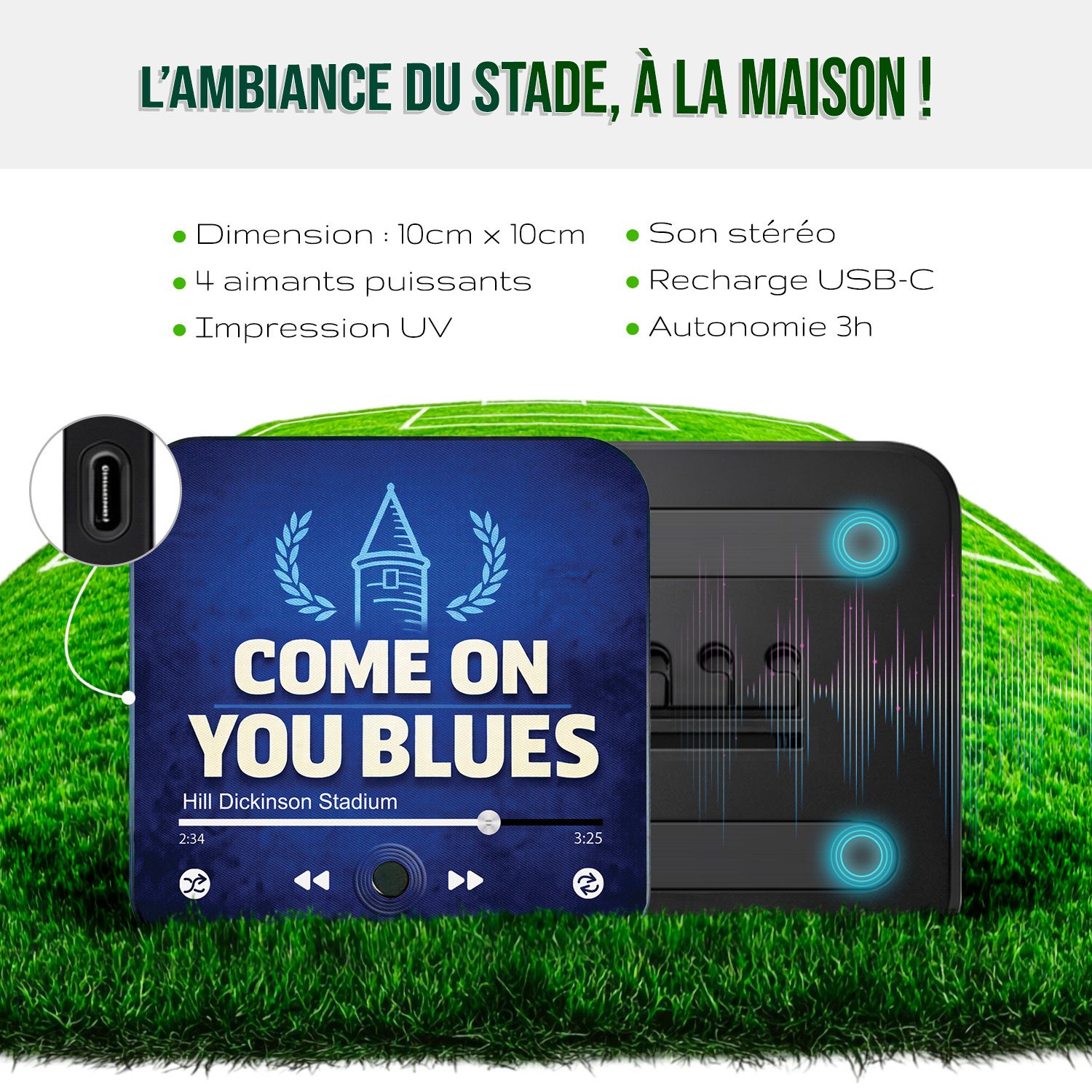 Magnet musical Everton