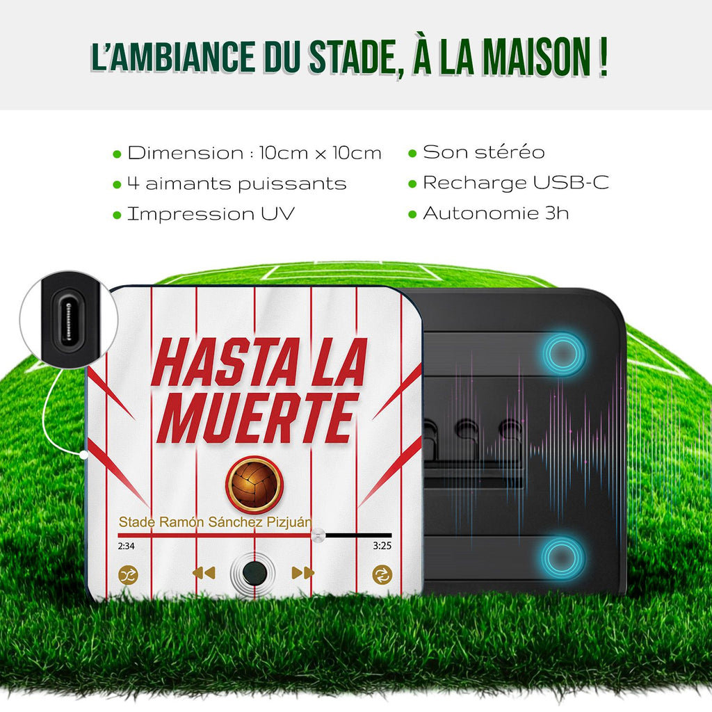 Magnet musical FC Seville