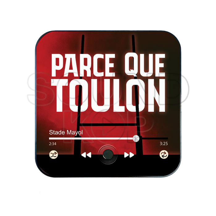 Magnet musical RCT